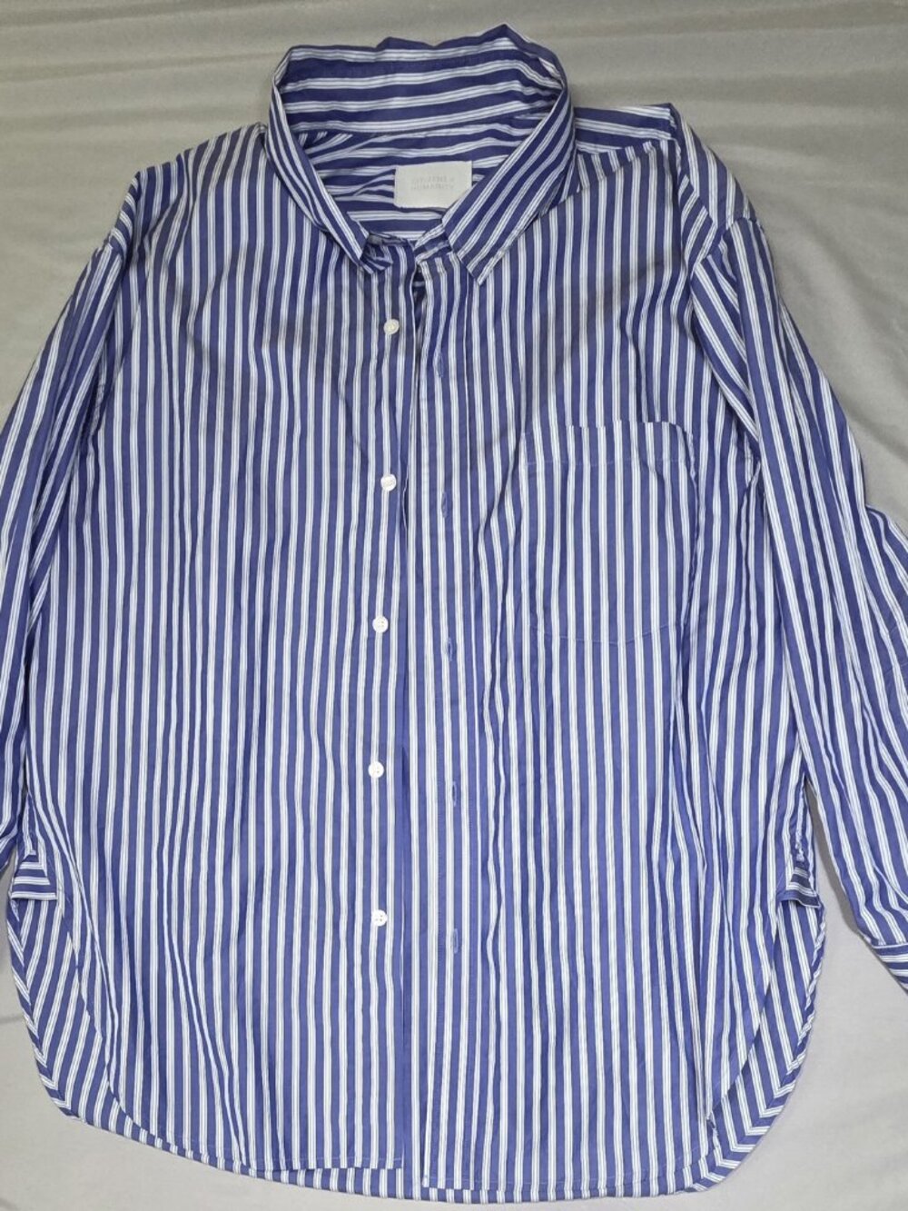 Citizens of Humanity Oversized Blue White Striped Button Down Shirt L